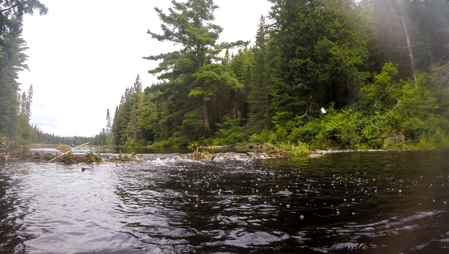 The Beaver Damn on Little McCraney Lake